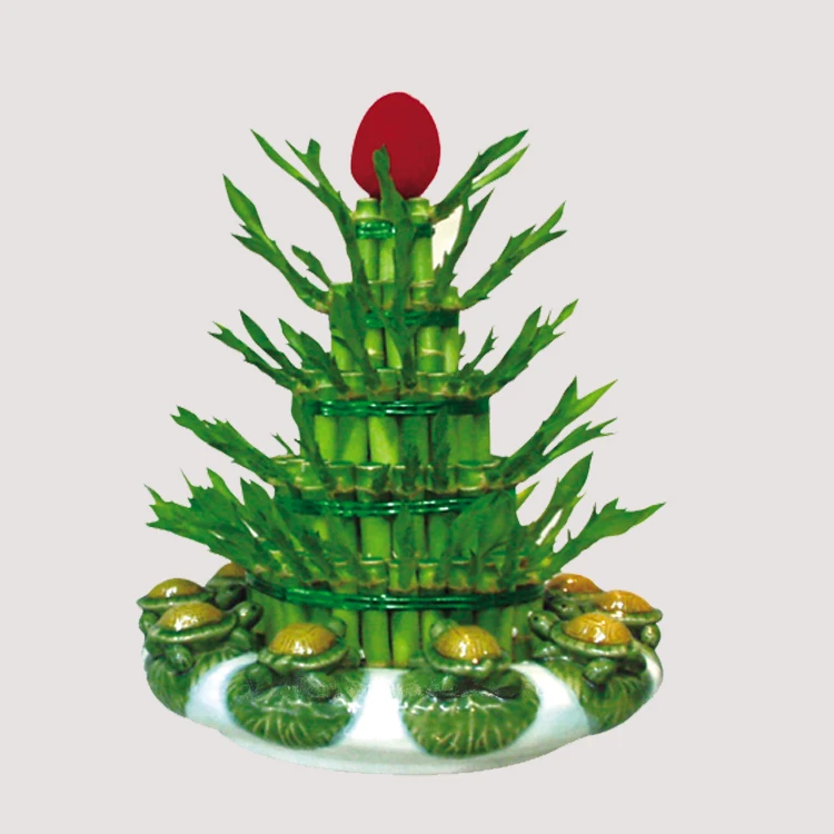 
lucky bamboo tower aquatic plants dracaena sanderiana/bonsai planter natural indoor dracaena sanderiana 