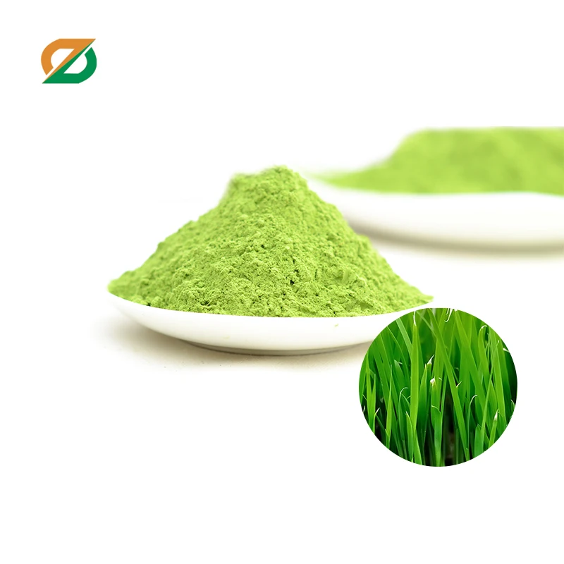 high quality fresh organic green barley grass juice powder
