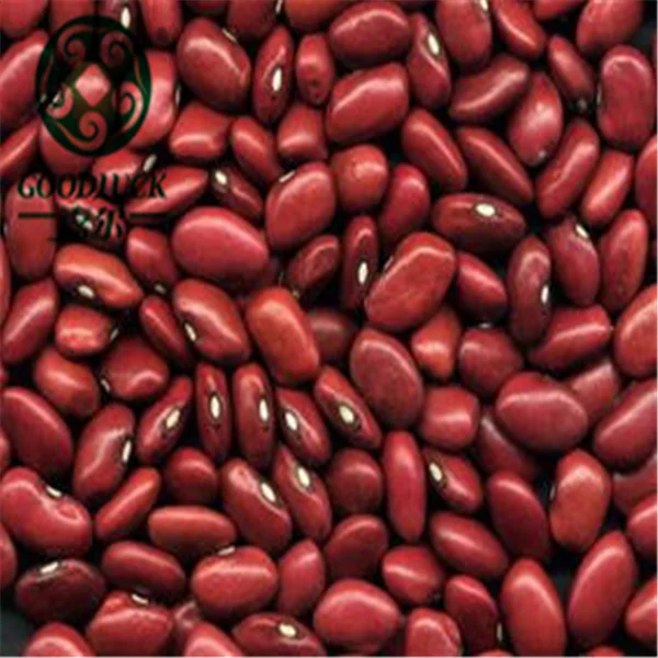 
Sweet Small Square Red Kidney Beans for Paste or Powder Price 