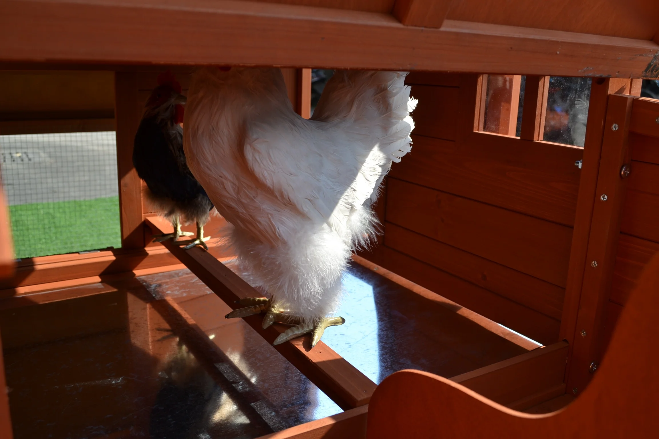 Wooden chicken coop  hen house