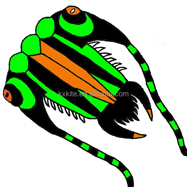 10 SQM trilobite pilot kite from the kite factory