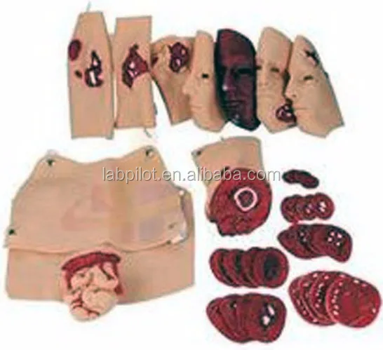 43 Wound Simulators Facial Burn Trauma Model,Trauma Evaluation Model