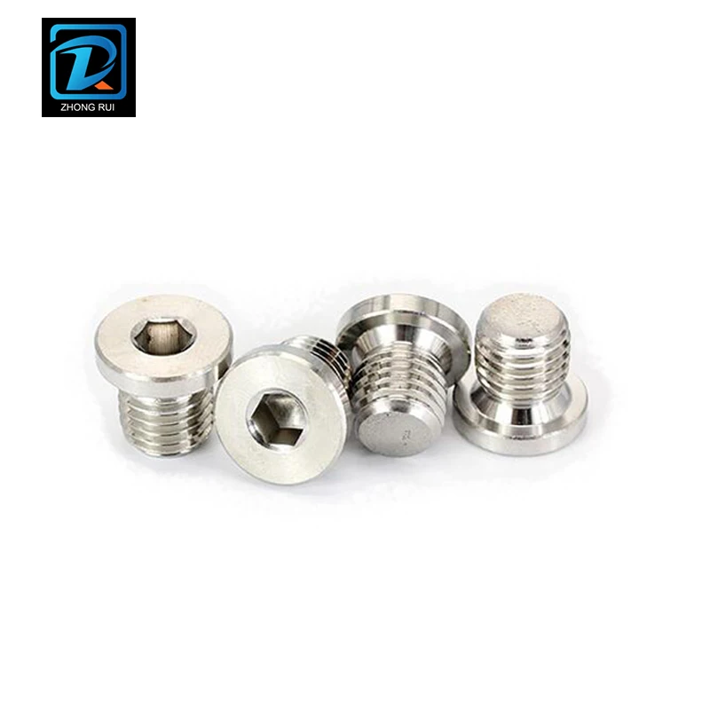DIN 908 904L Stainless Steel Hexagon Socket Screw Plug