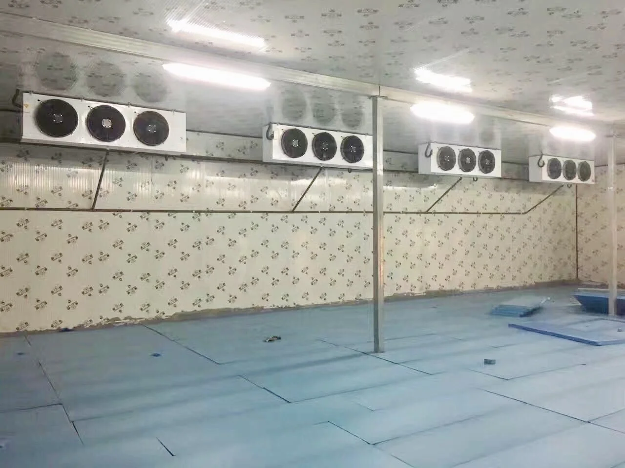 Walk in chiller freezer cold storage room for potato