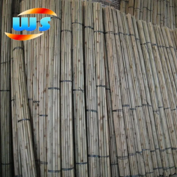 Support tree nurseries growing  of bamboo cane 305CM 28-30MM