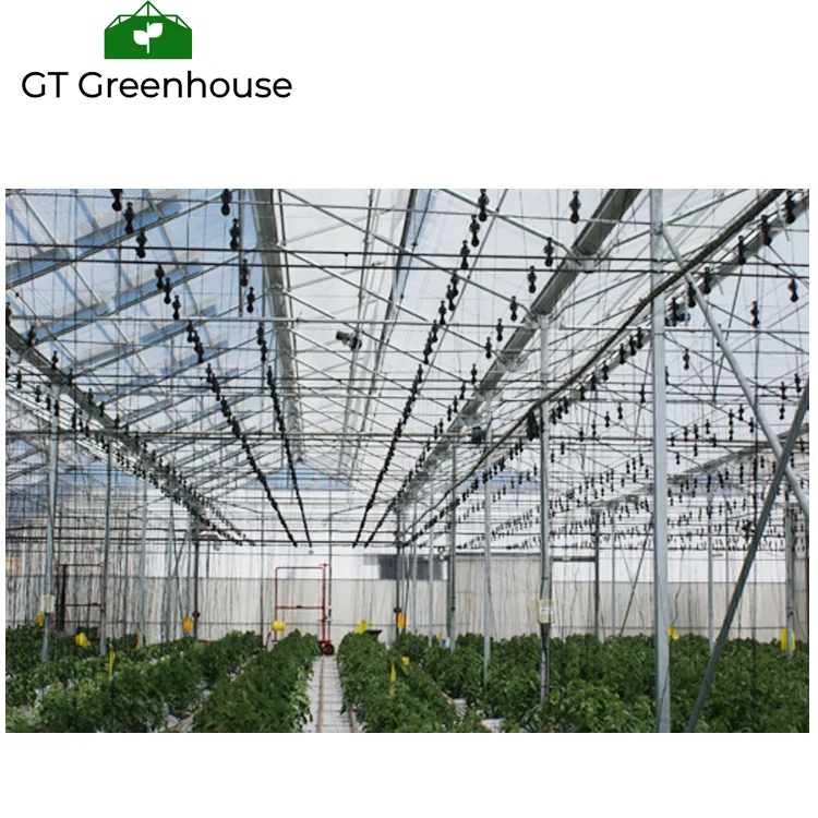 Hot Sale Factory Plastic Mushroom greenhouse structure hydrophonic system agriculture green house equipment