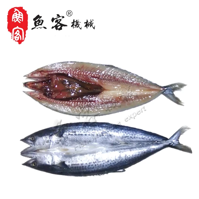 Hot Sale Factory Price Fish Processing Machine Fish Fillet Cutting  Machine fish cutter with CE