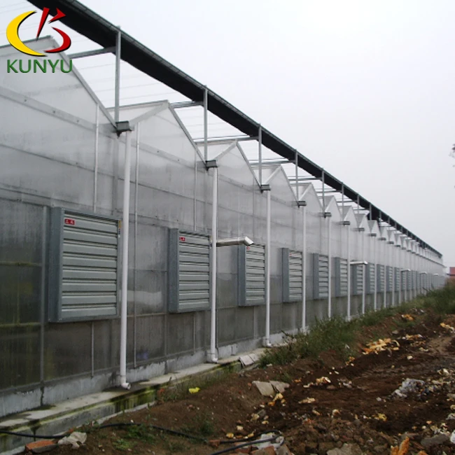 
Venlo polycarbonate greenhouse uv coating polycarbonate sheet greenhouse plastic sheet greenhouse 