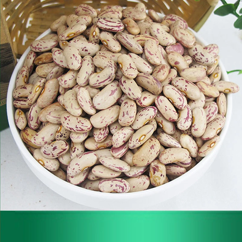 New crop sugar beans LSKB light speckled kidney bean