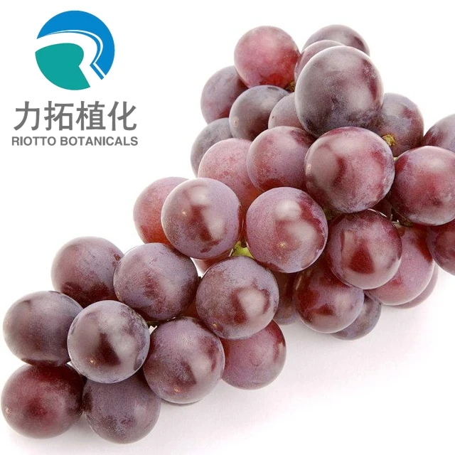
Fruit Juice Powder dried grape pulp powder 