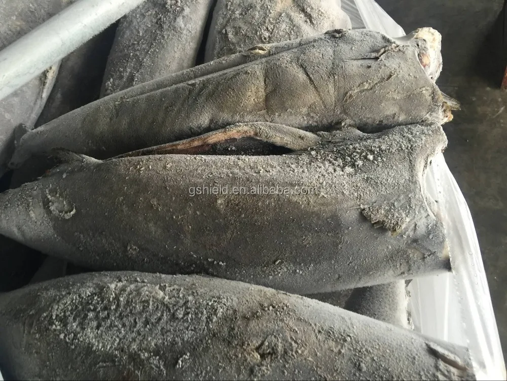 
Good quality Frozen HGT Hamachi in 2016 