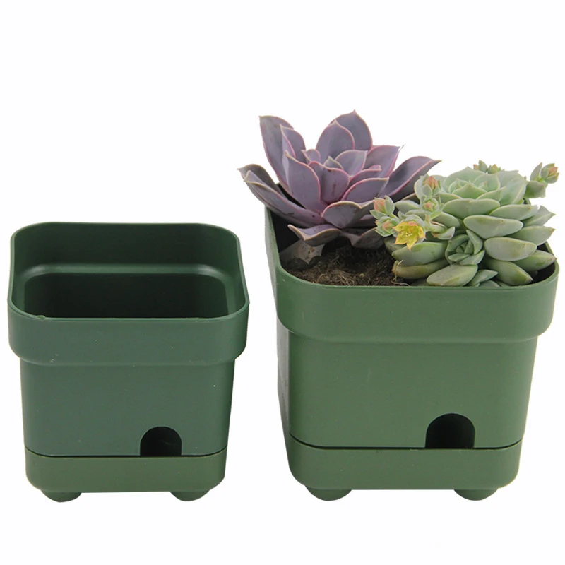 
HOT SALE meaty storage basin Plastic self watering green black flower pot small square planters with tray 
