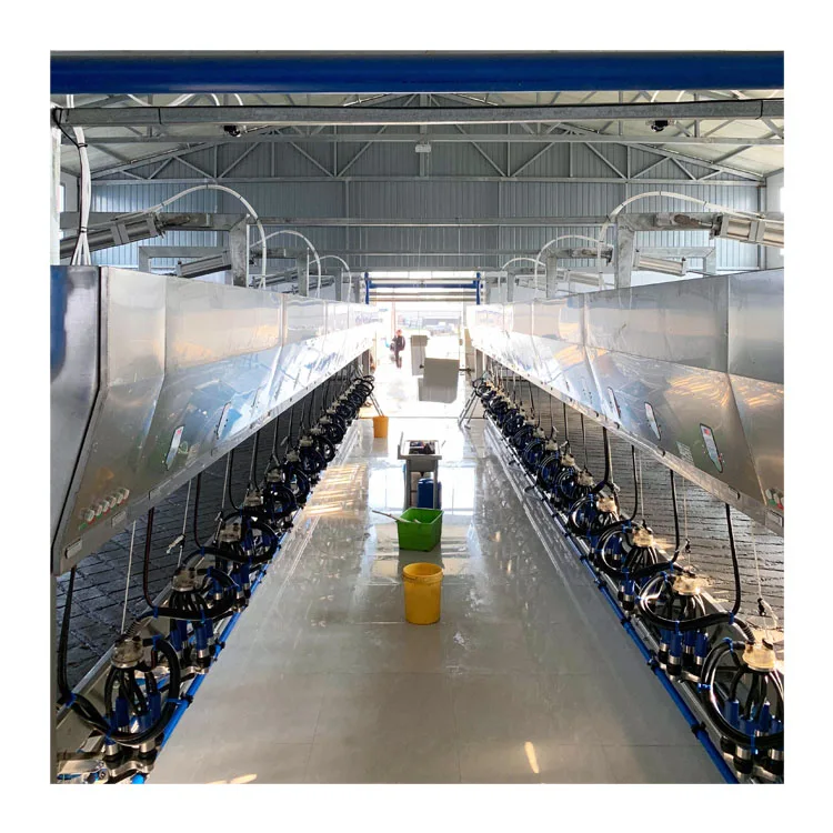 Ротационная Доильная система трубопровода в елочку