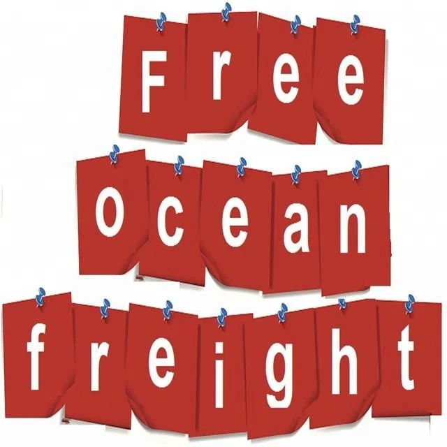 sea freight forwarder shipping ddu ddp service China freight forwarding agent to Korea sea freight low price service quality