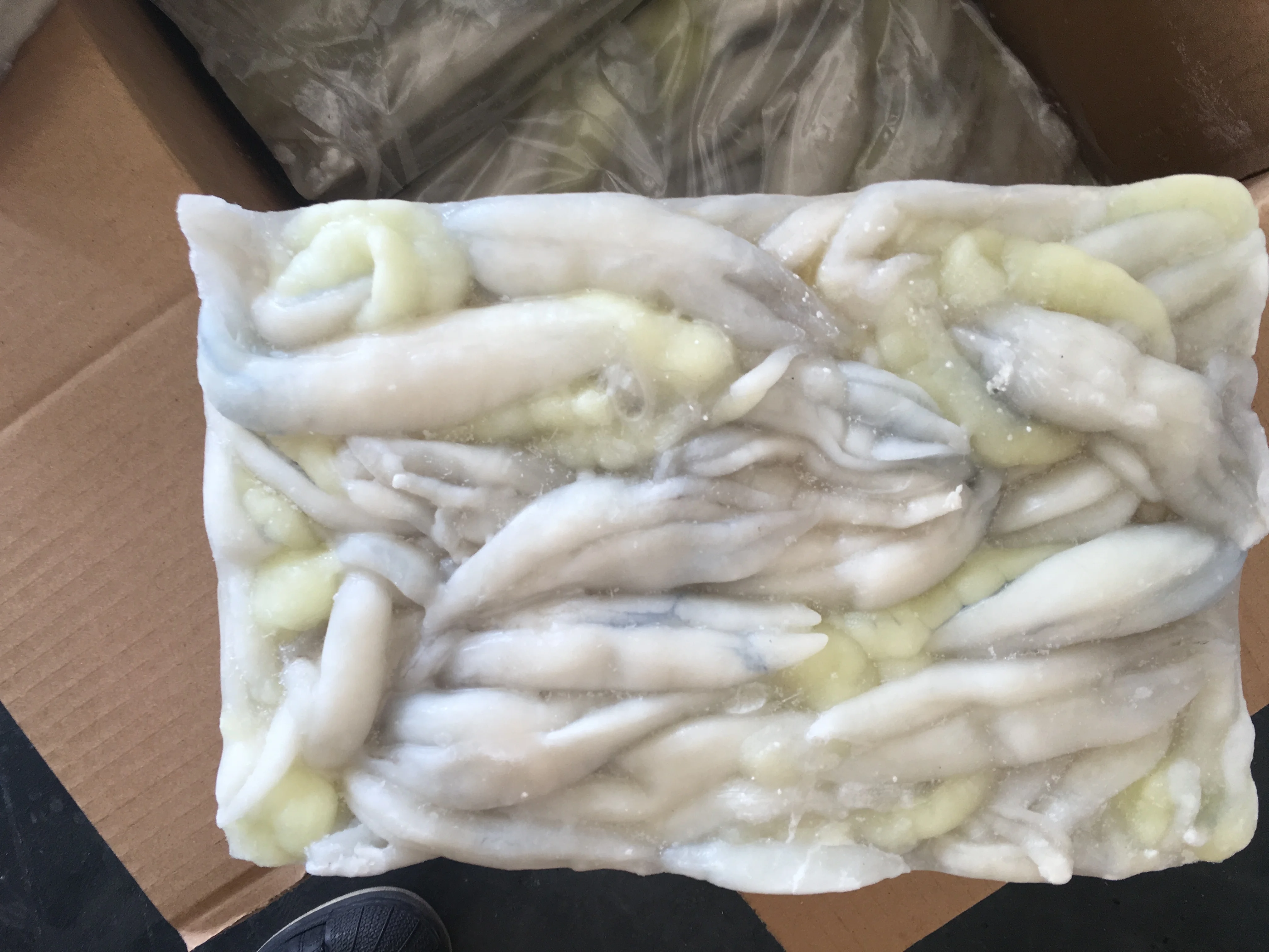 
Frozen Illex Squid Roe/Egg High Quality 