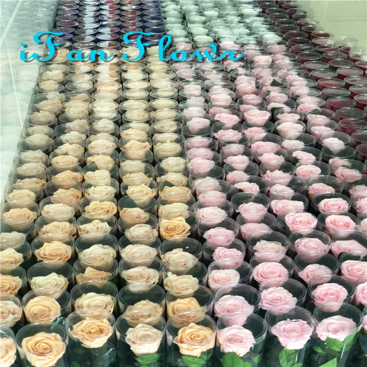 Hot new crazy selling eternal flowers preserved rose in acrylic gift box