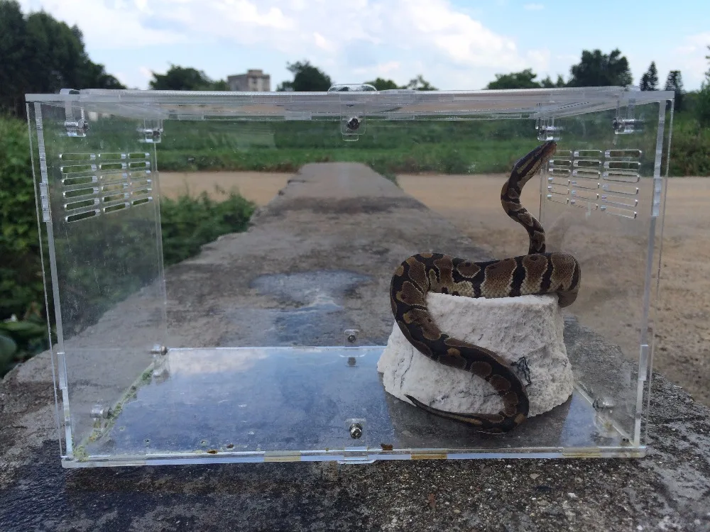 customize clear acrylic reptile egg incubator house box