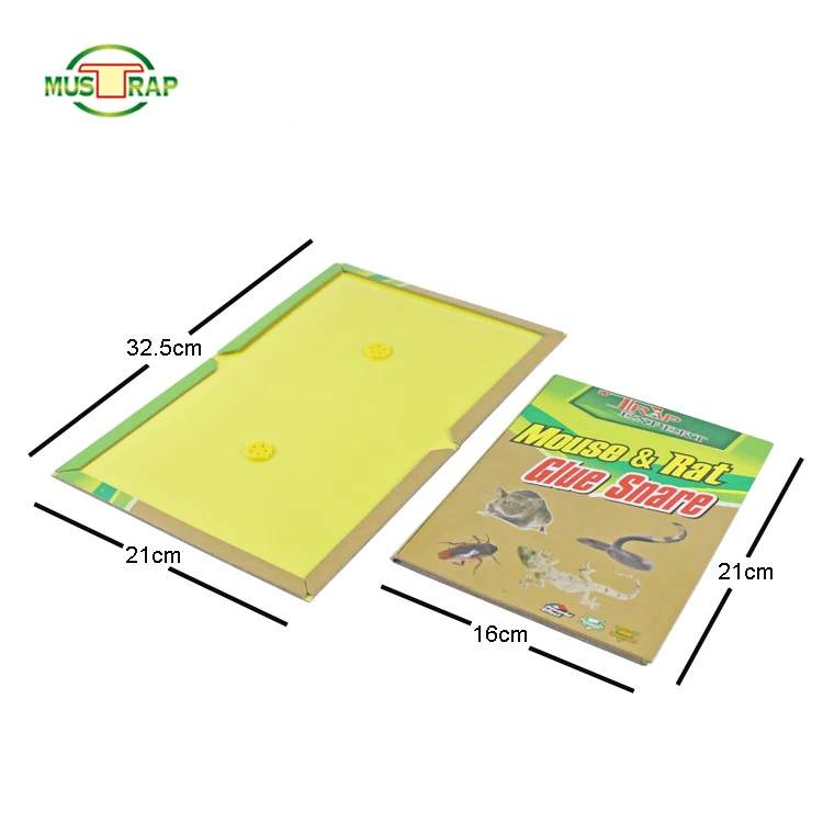 Hot Sale Easy Set Strong Viscous Paper Board Rat Rraps Cheap Mouse trap