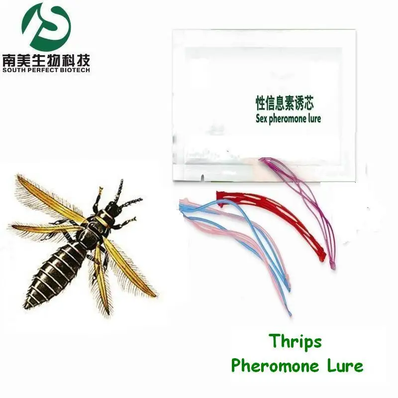 Manufacturer of Thrips pheromone trap