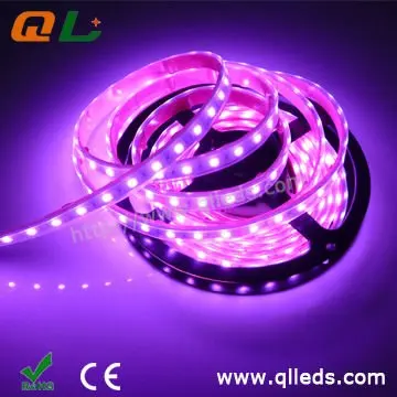 2013 очень популярного деталя! 60 светодиоды / m SMD 5050 из светодиодов полоса с Высокое качество превосходное обслуживание