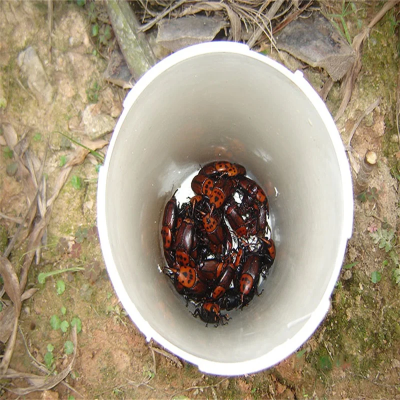 Multi funnel traps plastic insect pheromone trap for killing forest pests