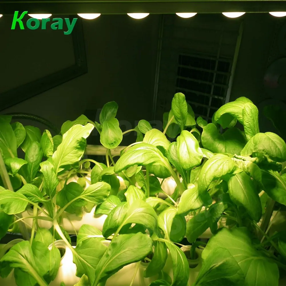 Full Spectrum LED Grow Bar Lights for Garden Greenhouse, Hydroponic, Indoor Cultivation