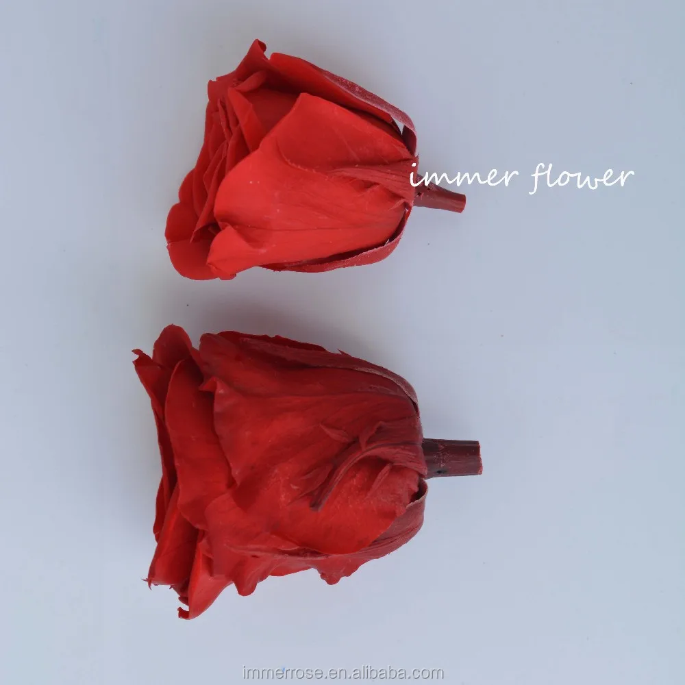 Luxury forever real touch preserved flower preserved roses holland