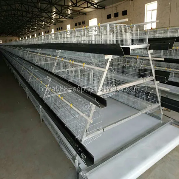 
 Лидер продаж, куриные яичные клетки в Южной Африке, Нигерии, Кении, Уганде  