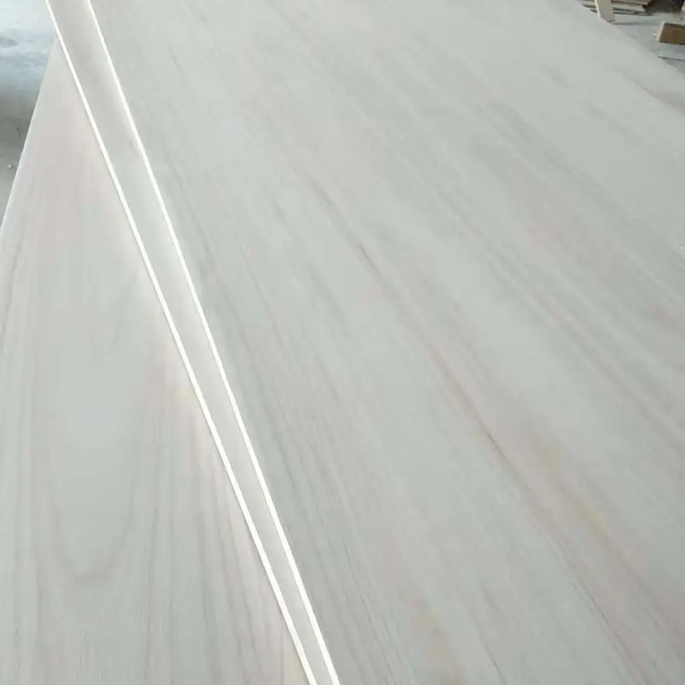 High Quality Heze Factory Paulownia Kitesurfing Kites And Boards