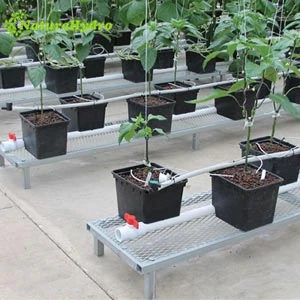 4 Gallon bato buckets hydroponic plastic grow pots tomatoes systems