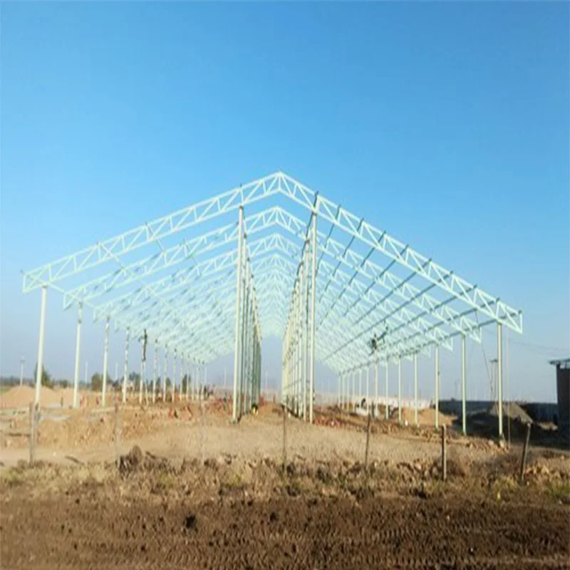 Steel structure low cost chicken house