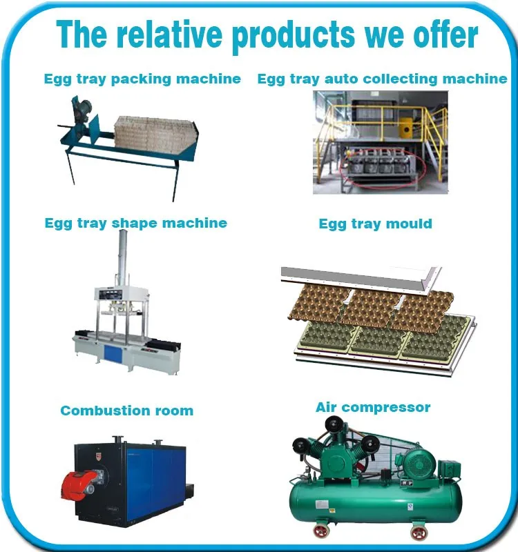 Древесины целлюлозно литье яйцо лоток машины фруктов лоток производственной линии