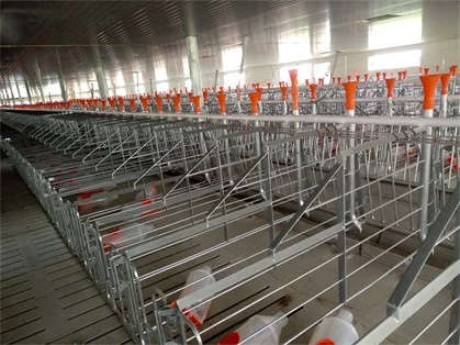 Pig farm equipment pig gestation crates for sows