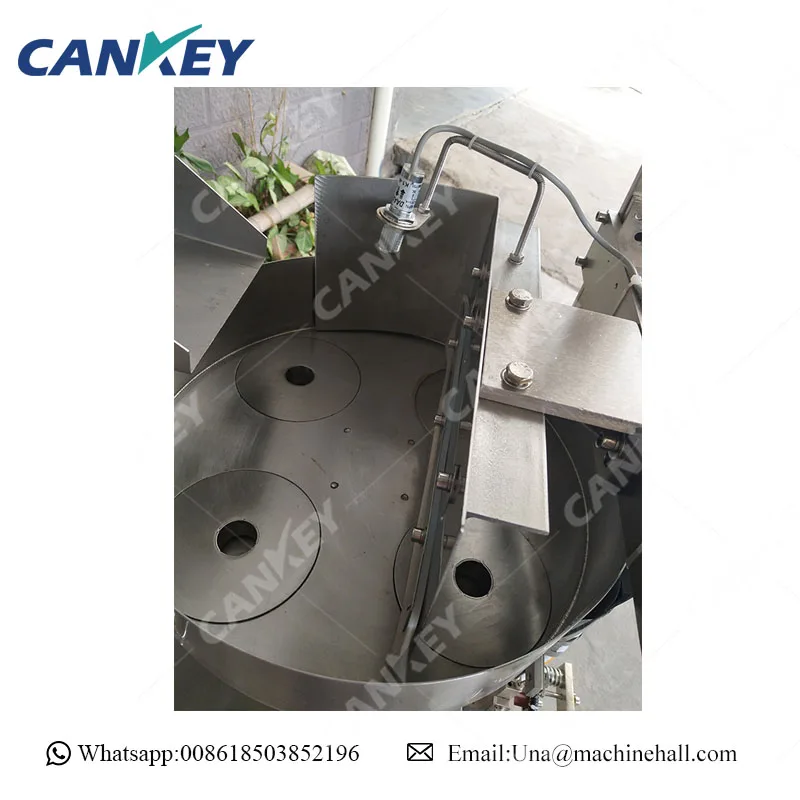 CK-LK480 Nitrogen Potato Chip Packing Banana Chips Packaging Machine