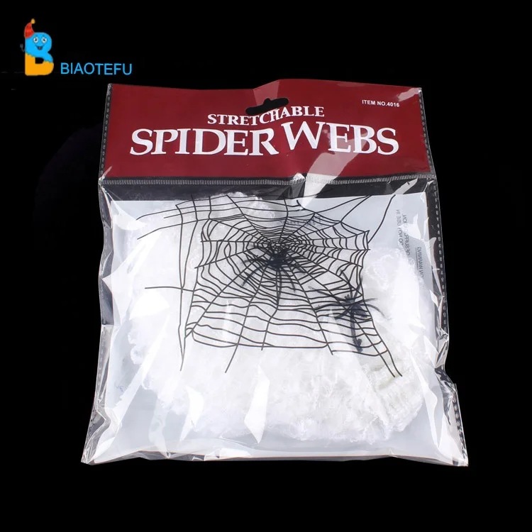 spider web with spider cobweb for indoor decoration