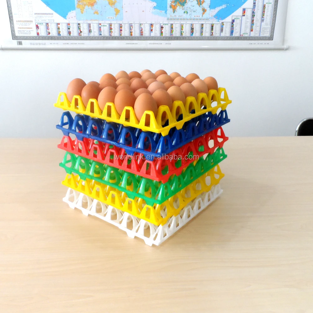 plastic egg tray (24)