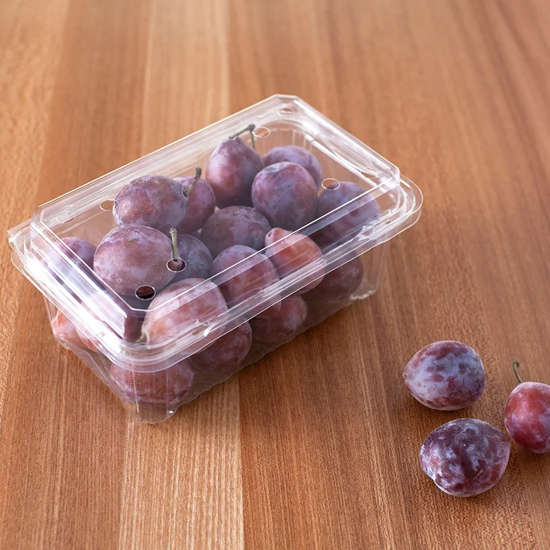 Food Grade PET Blister Plastic Fruit Clamshell Packaging Tray Vegetable Punnet Strawberry Tray