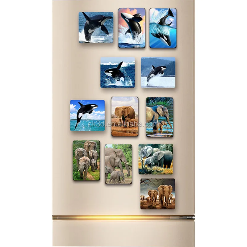 Personal photo frame fridge magnet, 3d lenticular logos china fridge magnet