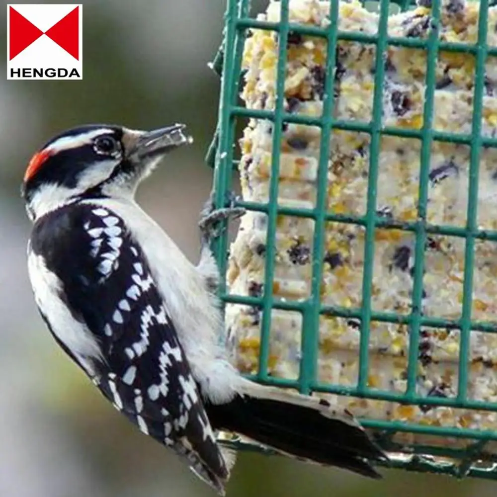GREEN SUET CAKE BIRD FEEDER Nature Hanging Outdoor Feeding/Holder Cage
