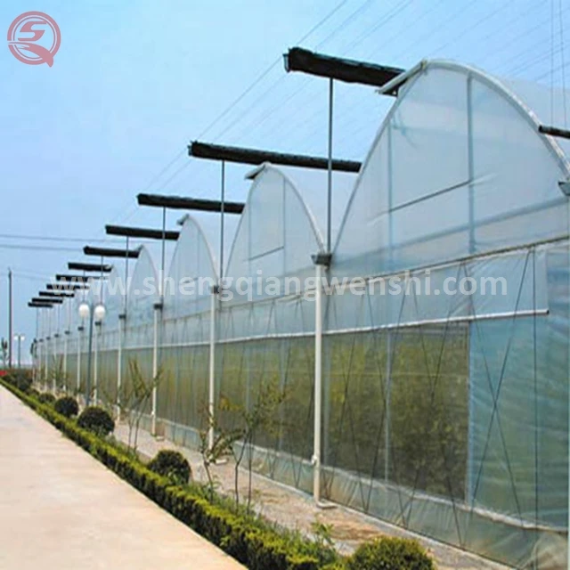Low cost agriculture plastic film home multi span tunnel greenhouse for sale