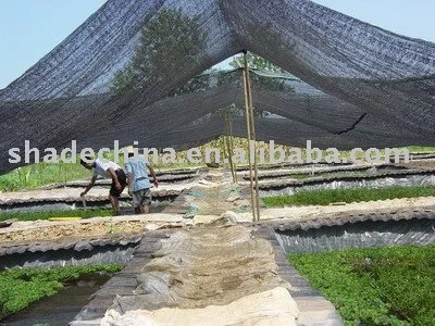 
New HDPE agriculture net 