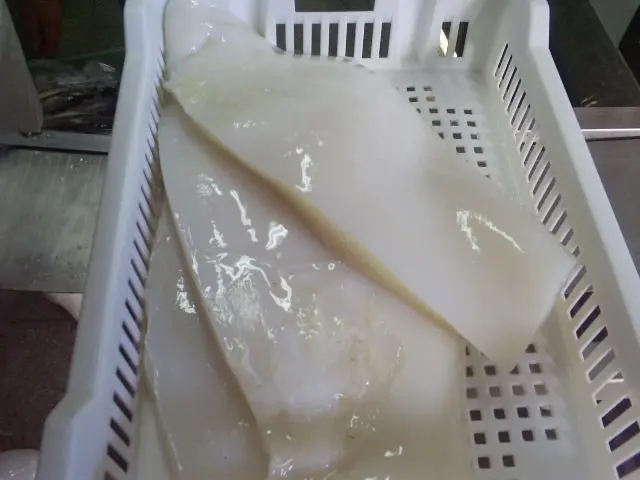 
Tube fillets 