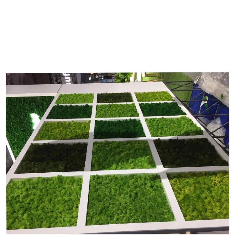 
Yunnan A Grade Dried Flowers Wholesale Lichen Preserved Moss For House Decoration 