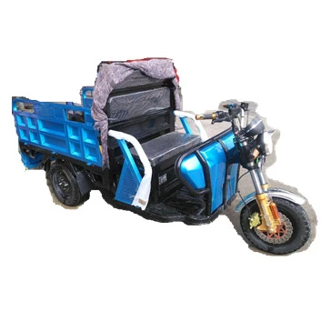 electric cargo trike for cargo delivery
