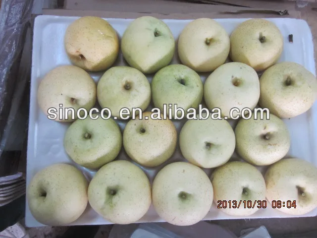 Chinese Gold pear,pear varieties