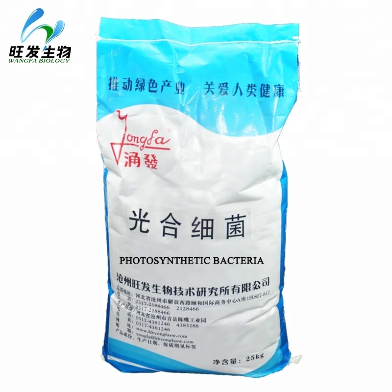 
Photosynthetic Bacteria Culturing Seaweed Microbial Aquaculture Ball Water Purifier 