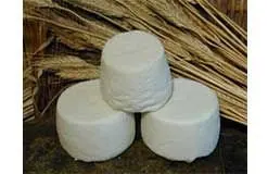 
CACIORICOTTA ITALIAN hard or semi hard CHEESE 