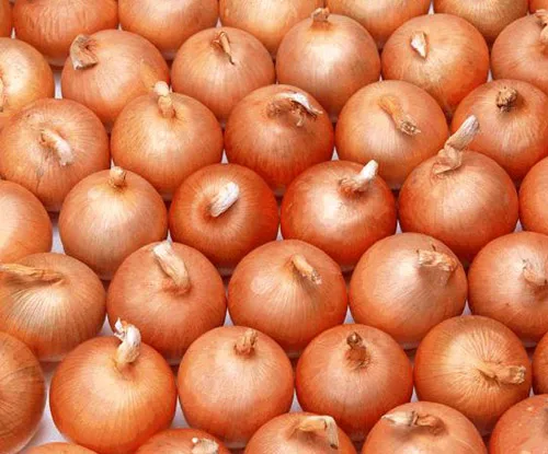 
Fresh yellow onion 