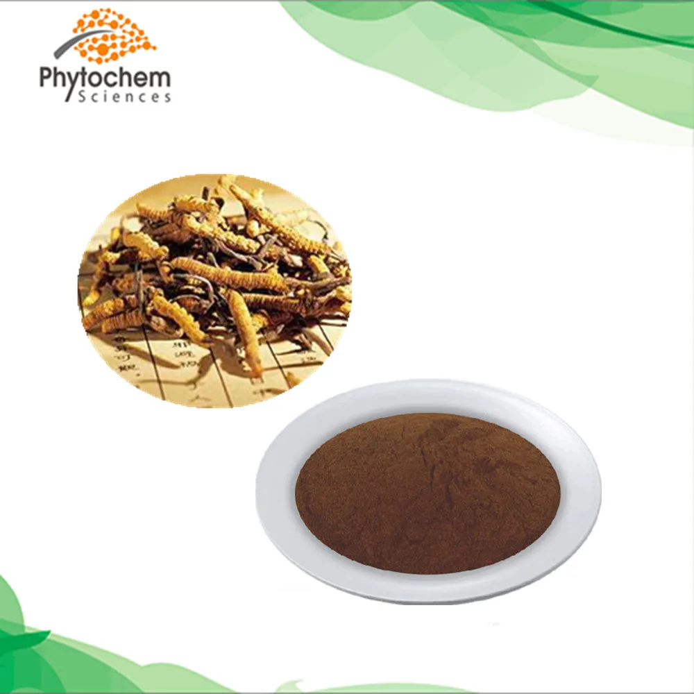 
Yarsagumba price yartsa gunbu polysaccharide powder cordycepin ergosterol adenosine cordyceps sinensis extracts 