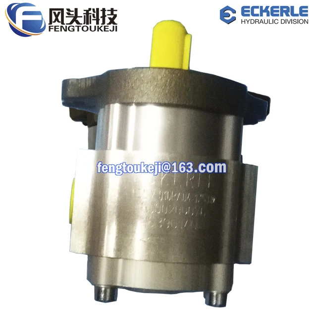 ECKERLE EIPS2-022RA04-12 S111 Gear Pump Electric Oil High Pressure
